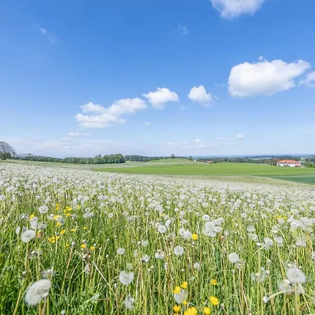 Luisalle 6 Apartment *