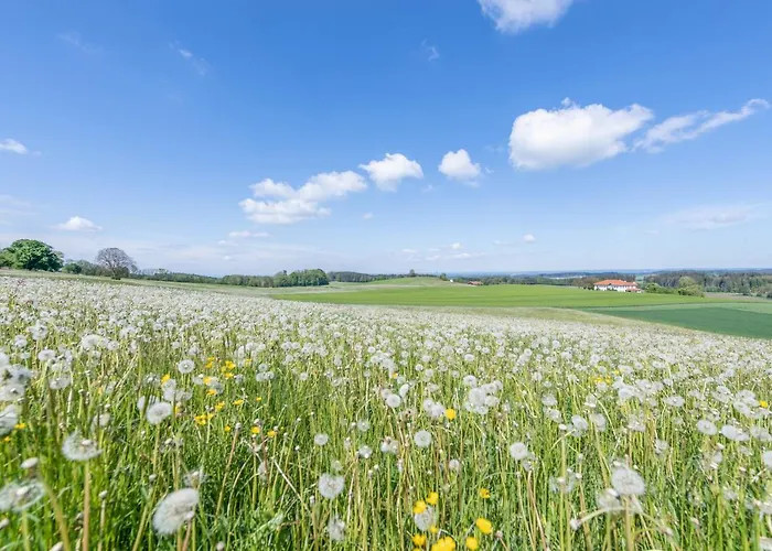 Luisalle 6 Apartmán *